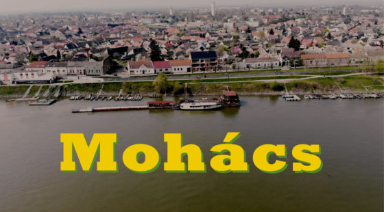 INO in Mohács