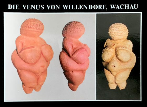 Eine Postkarte aus Willendorf